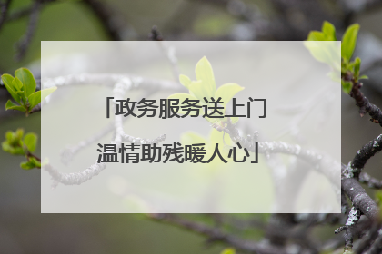 政务服务送上门 温情助残暖人心