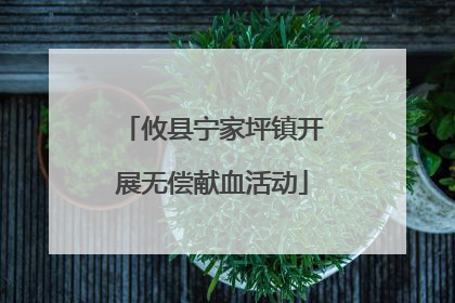 攸县宁家坪镇开展无偿献血活动