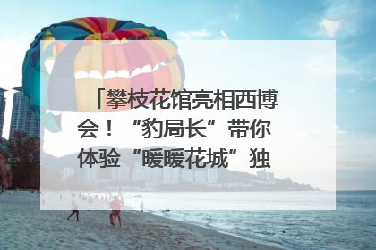 攀枝花馆亮相西博会！“豹局长”带你体验“暖暖花城”独特魅力｜西博视界