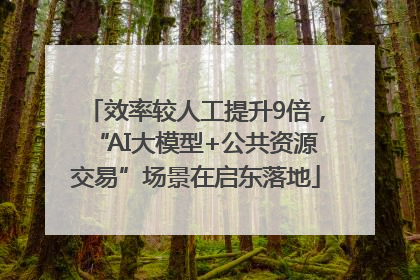 效率较人工提升9倍，“AI大模型+公共资源交易”场景在启东落地