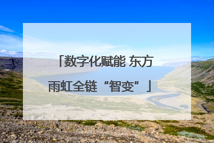 数字化赋能 东方雨虹全链“智变”
