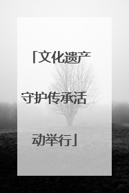 文化遗产守护传承活动举行