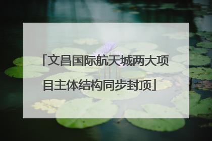 文昌国际航天城两大项目主体结构同步封顶
