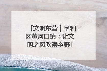 文明东营｜垦利区黄河口镇：让文明之风吹遍乡野