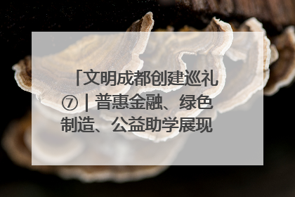 文明成都创建巡礼⑦｜普惠金融、绿色制造、公益助学展现城市文明底色