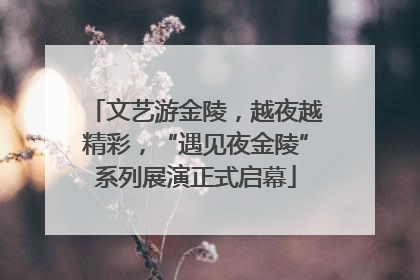 文艺游金陵，越夜越精彩，“遇见夜金陵”系列展演正式启幕