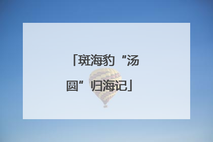 斑海豹“汤圆”归海记