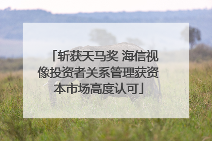 斩获天马奖 海信视像投资者关系管理获资本市场高度认可
