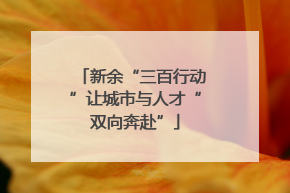 新余“三百行动”让城市与人才“双向奔赴”