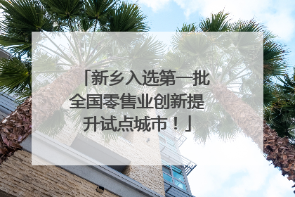 新乡入选第一批全国零售业创新提升试点城市！