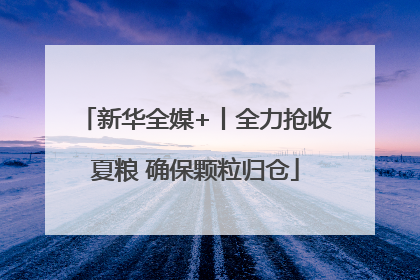 新华全媒+丨全力抢收夏粮 确保颗粒归仓