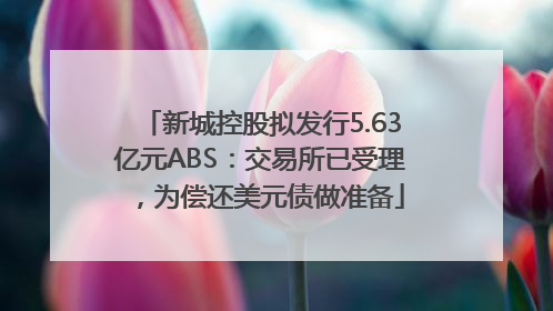 新城控股拟发行5.63亿元ABS：交易所已受理，为偿还美元债做准备