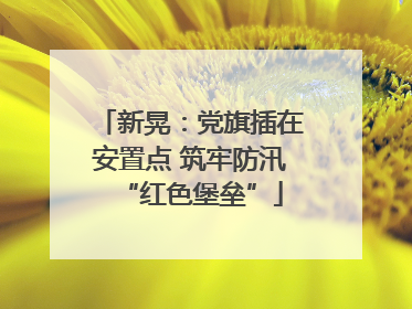 新晃：党旗插在安置点 筑牢防汛“红色堡垒”