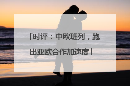 时评：中欧班列，跑出亚欧合作加速度
