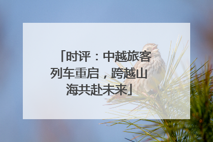 时评：中越旅客列车重启，跨越山海共赴未来