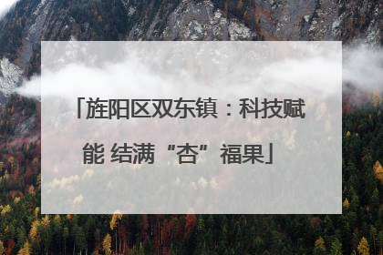 旌阳区双东镇：科技赋能 结满“杏”福果