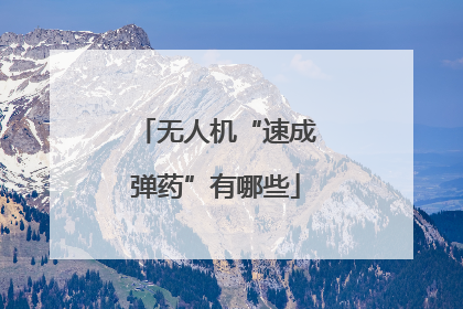 无人机“速成弹药”有哪些