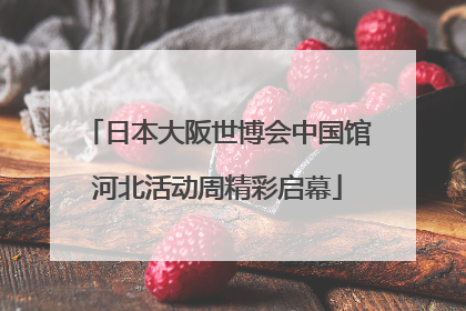 日本大阪世博会中国馆河北活动周精彩启幕