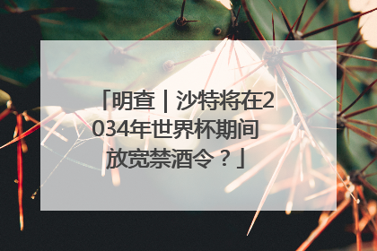 明查｜沙特将在2034年世界杯期间放宽禁酒令？