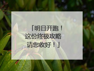 明日开跑！这份终极攻略请您收好！