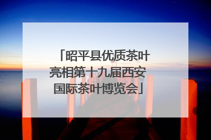 昭平县优质茶叶亮相第十九届西安国际茶叶博览会