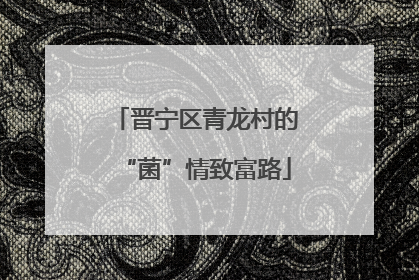 晋宁区青龙村的“菌”情致富路
