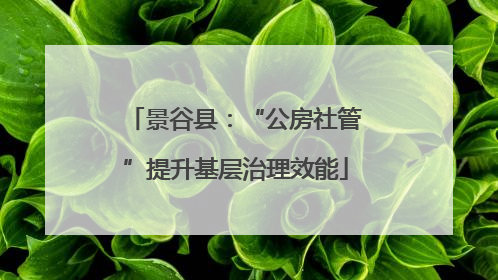 景谷县：“公房社管”提升基层治理效能
