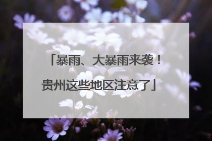 暴雨、大暴雨来袭！贵州这些地区注意了