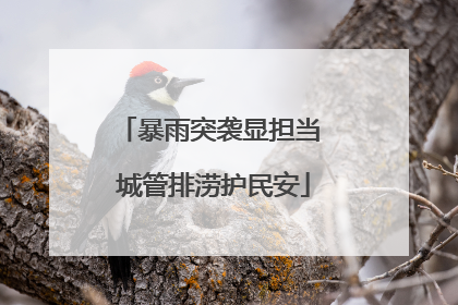 暴雨突袭显担当 城管排涝护民安