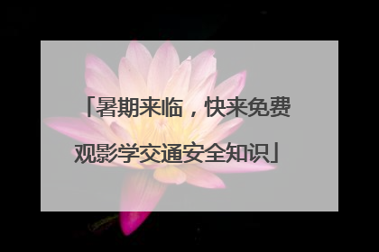 暑期来临，快来免费观影学交通安全知识