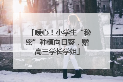 暖心！小学生“秘密”种植向日葵，赠高三学长学姐