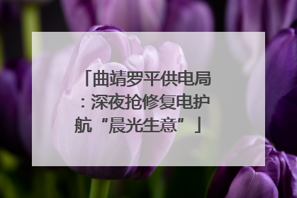 曲靖罗平供电局：深夜抢修复电护航“晨光生意”