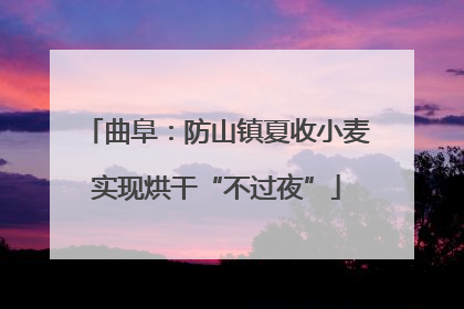 曲阜：防山镇夏收小麦实现烘干“不过夜”