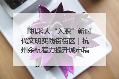 机器人“入职”新时代文明实践街街区｜杭州余杭着力提升城市精细化智能化管理水平
