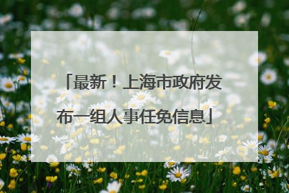 最新！上海市政府发布一组人事任免信息