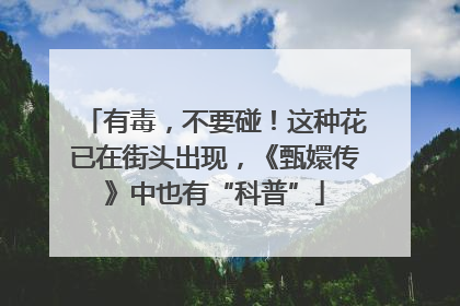 有毒，不要碰！这种花已在街头出现，《甄嬛传》中也有“科普”