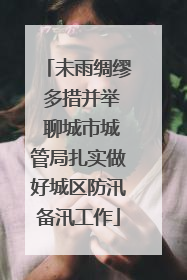 未雨绸缪 多措并举 聊城市城管局扎实做好城区防汛备汛工作
