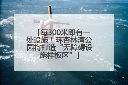 每300米即有一处设施！环杏林湾公园将打造“无障碍设施样板区”