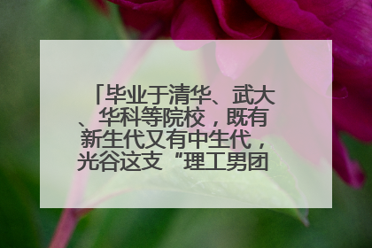 毕业于清华、武大、华科等院校，既有新生代又有中生代，光谷这支“理工男团”为何“出道”？