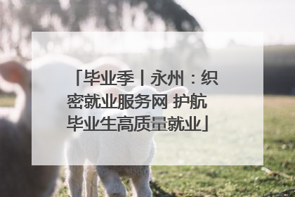 毕业季丨永州：织密就业服务网 护航毕业生高质量就业