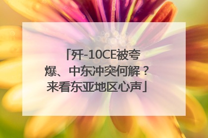 歼-10CE被夸爆、中东冲突何解？来看东亚地区心声