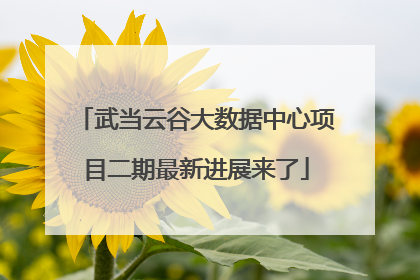 武当云谷大数据中心项目二期最新进展来了