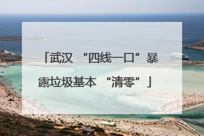 武汉 “四线一口”暴露垃圾基本 “清零”