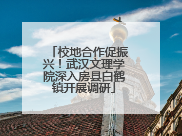 校地合作促振兴！武汉文理学院深入房县白鹤镇开展调研