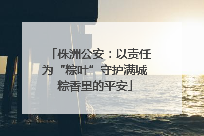 株洲公安：以责任为“粽叶”守护满城粽香里的平安