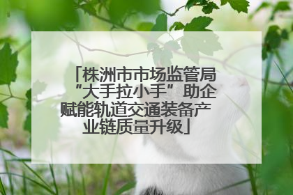 株洲市市场监管局“大手拉小手”助企赋能轨道交通装备产业链质量升级
