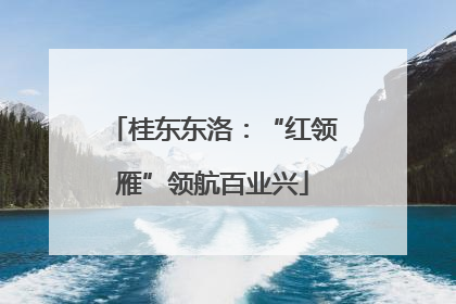桂东东洛：“红领雁”领航百业兴