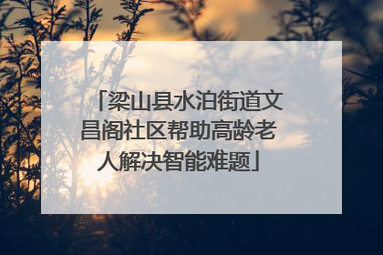 梁山县水泊街道文昌阁社区帮助高龄老人解决智能难题