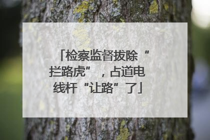 检察监督拔除“拦路虎”，占道电线杆“让路”了