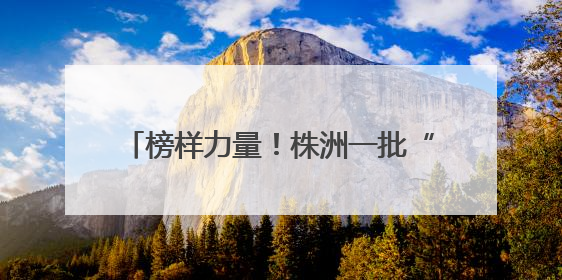 榜样力量！株洲一批“热血英雄”受省级表彰